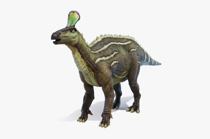 Visualização: Tsintaossauro: dinossauro bico de pato com crista