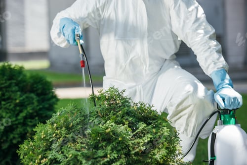 Preview: cropped image of pest control worker in uniform spraying chemicals on bush