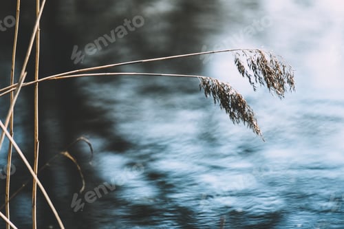 Preview: Delicate soft background of the evening lake. Soft focus