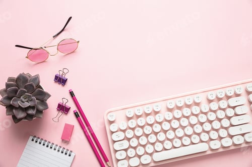 Preview: Computer keyboard and succulent plant against pink background