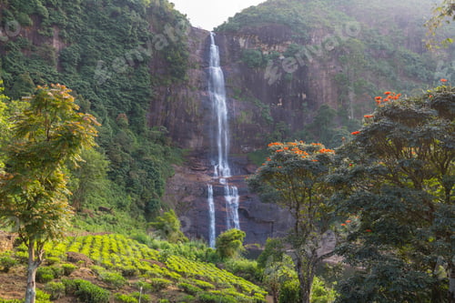 Preview: Waterfall on Sri Lanka