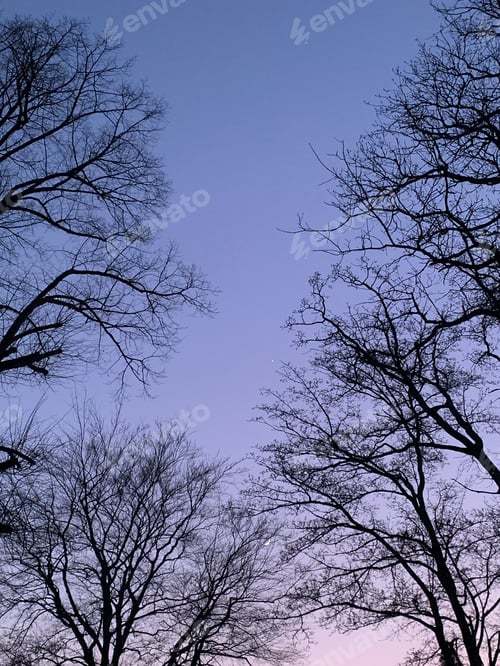 Preview: Beautiful evening sky with Venus and the Moon visible