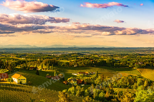 Preview: South styria vineyards landscape, near Gamlitz, Austria, Europe. Grape hills view from wine road in