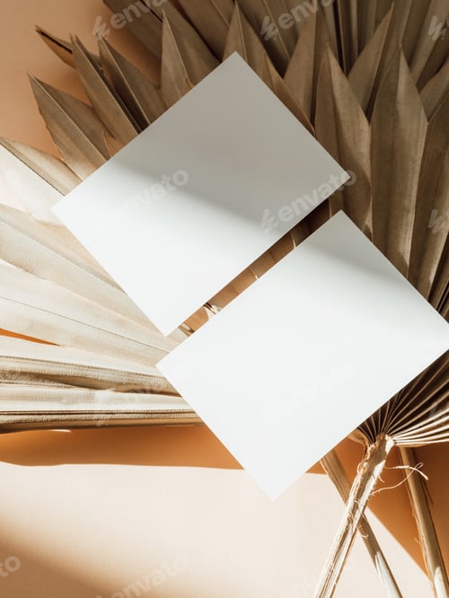 Preview: Two blank white cards on dry palm leaves background with shadows