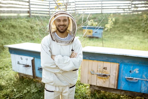 Preview: Beekeeper on the apiary