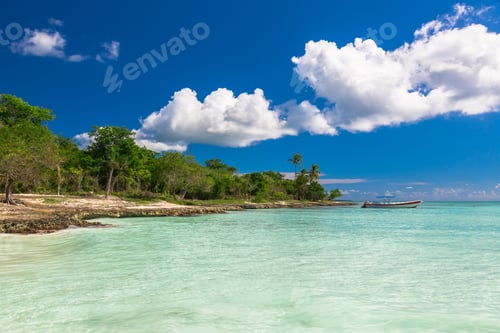 Preview: Beautiful view of Coral Beach on Saona, Dominican Republic