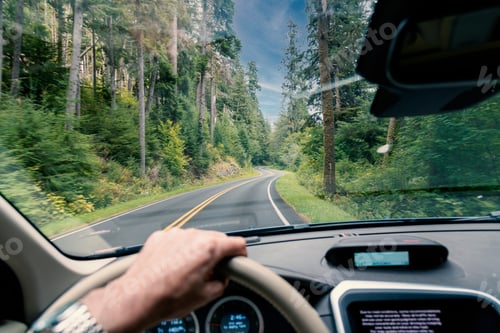Preview: Winding road through beautiful green forest from driver perspective.