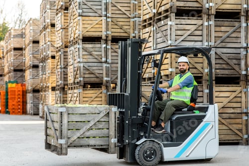 Preview: Warehouse service, work with orders, distribution to store and farmers market