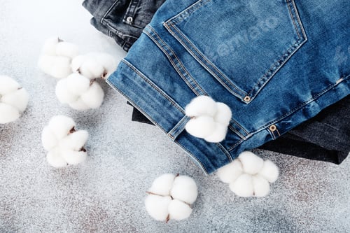 Preview: Stack of jeans pants and cotton flowers on light background
