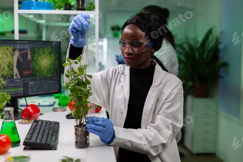 Preview: African american biochemist scientist measuring sapling using ruler