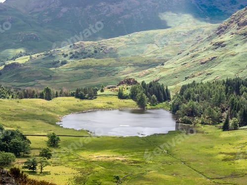 Preview: View of Blea Tarn from Lingmoor Fell, England