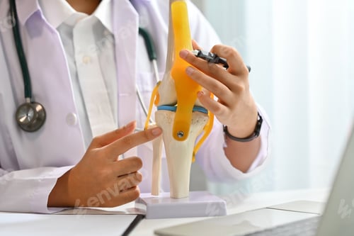 Preview: Orthopedists showing knee joint model during online consultation.Telemedicine and healthcare concept
