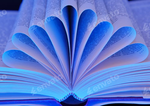 Preview: Blue book
