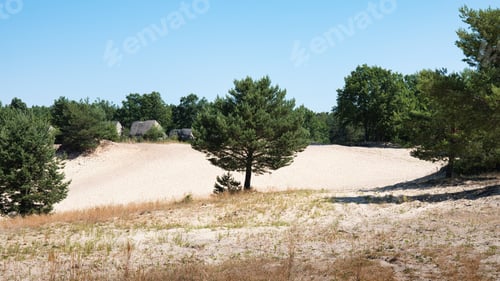 Preview: Sand dunes in Zahorie, Slovakia