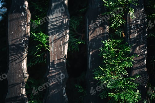 Preview: Wooden fence