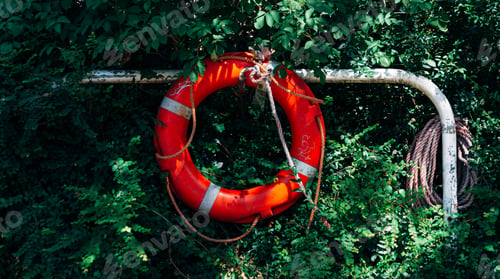 Preview: Red Lifebuoy Hanging on Grass Wall