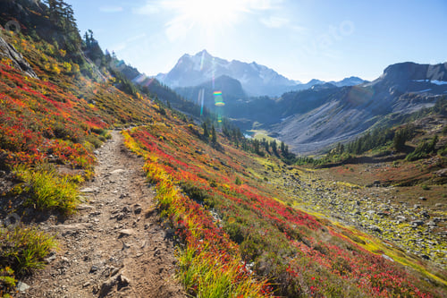 Preview: Mt Baker Area