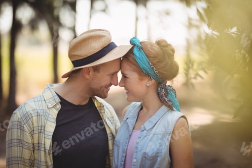Preview: Young couple rubbing noses at olive farm