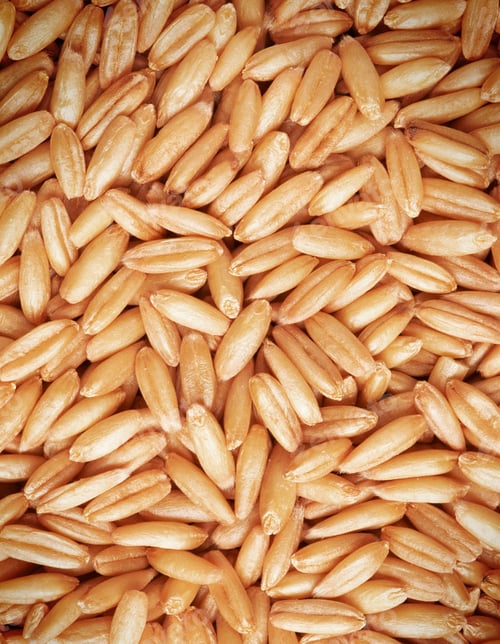 Preview: Whole wheat grains close up