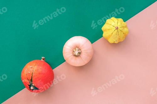Preview: Three different pumpkins on green and light brown background. Thanksgiving concept, top view