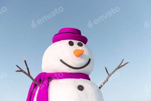 Preview: Funny snowman in stylish red hat