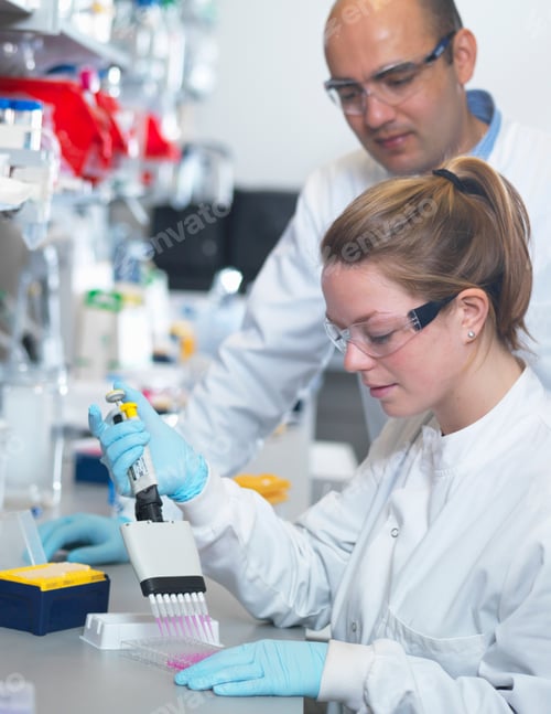 Preview: Scientist using multi-channel pipette to fill multiwell plate for analysis of antibodies by ELISA