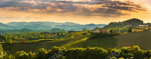 Preview: Panorama of South Styria Vineyards landscape near Austria - Slovenia border