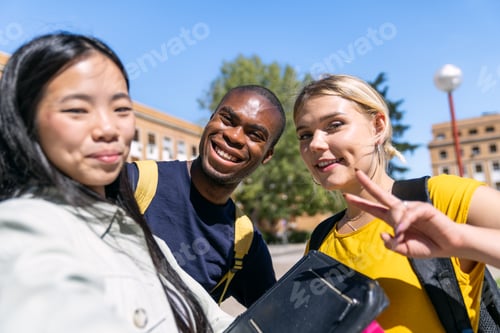 Preview: Multiethnic university students taking a selfie on campus