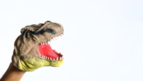 Preview: t-rex head puppet with open mouth on white background