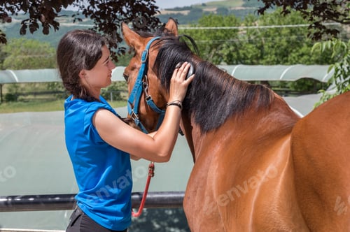 Preview: Woman brushing mane of horse