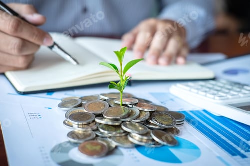 Preview: Financial Growth Concept with Coins and Plant Sprout