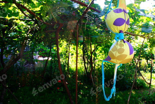 Preview: A colorful swim wear hanging outdoor