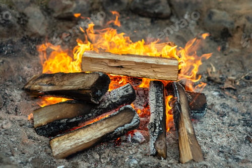 Preview: camping