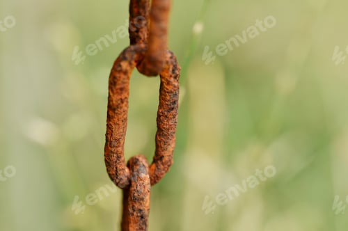 Preview: Closeup or macro of a rusty and old chain in nature, green background