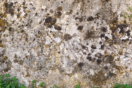 Preview: The Abstract Textured Background Of An Old Wall Concrete Or Cement With A Mold