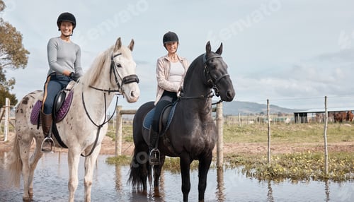 Preview: Trotting along