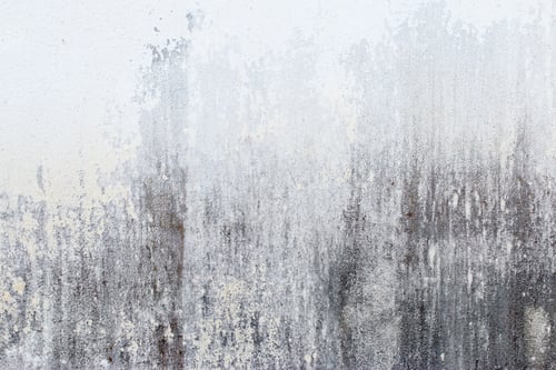 Preview: Light Gray Stucco Wall Texture. Abstract Background