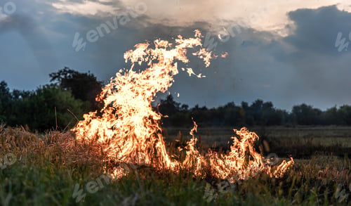 Preview: A fire burns in a field with dry grass.