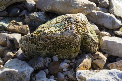 Preview: Closeup shot of a pocked green coral rock surrounded by white rocks and stones
