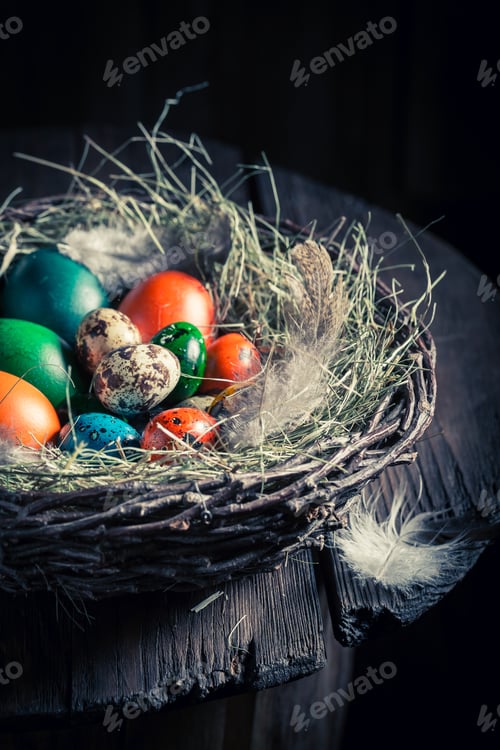 Preview: Colourfull eggs for Easter with hay and feathers