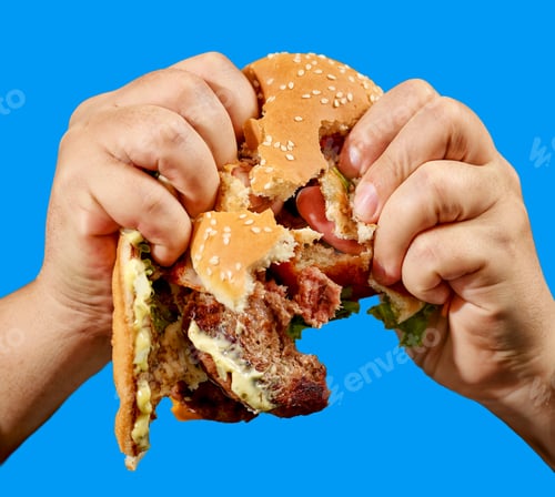 Preview: broken burger in human hands