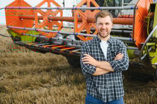 Preview: Farmer In Wheat Field Inspecting Crop. Farmer in wheat field with harvester