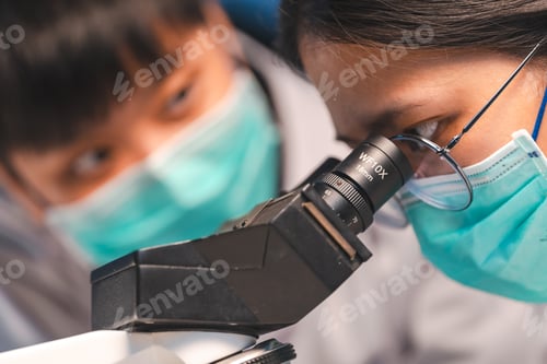 Preview: researcher working in laboratory for medicals science research using scientific equipment technology