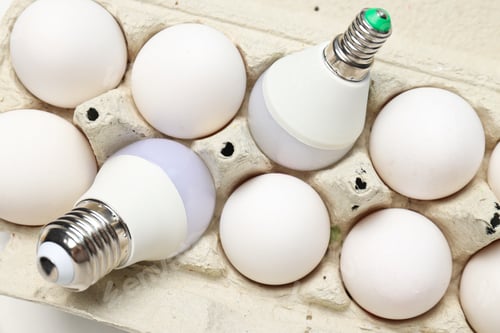 Preview: Eggs and bulbs on white background, top view