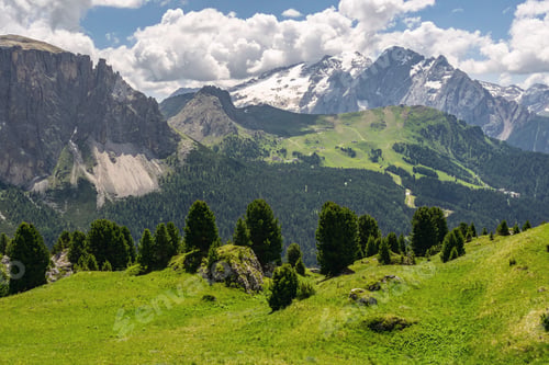 Preview: Beautiful nature with rocky mountain and green tree