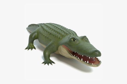 Preview: Stylized Green Alligator
