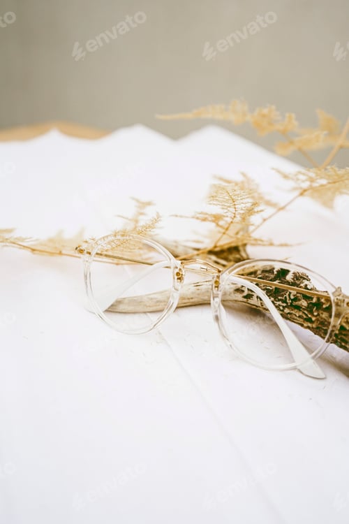 Preview: Boho style background with neutral tones a dry fern, a deer horn and retro glasses