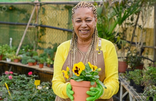 Preview: Happy black gardener with potted flower in greenhouse
