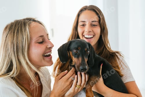 Vista previa: Novias sonrientes con un lindo perro