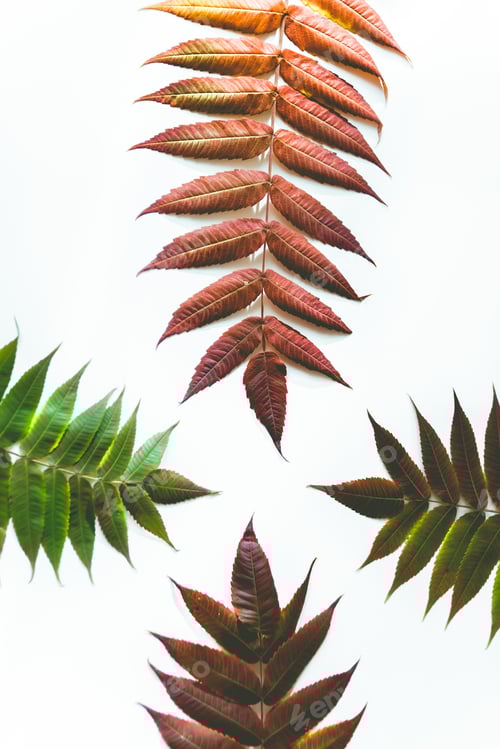 Preview: Colorful flat lay